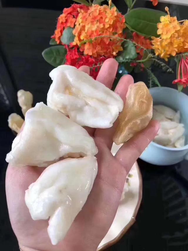 如何泡发蝴蝶花胶 2026年如何泡发蝴蝶花胶窍门 如何泡发蝴蝶花胶 2026年如何泡发蝴蝶花胶窍门