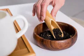 一克就有五亿霉菌，喝普洱等于喝脏水？普洱茶真的细菌爆表吗图片