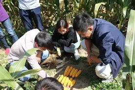 大豆进口已超1亿吨！别急，2035年就好了图片