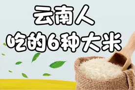 云南人吃的6种米，其中三种，都是历代的贡米图片