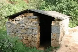 童年往事：爸爸的手表掉进粪坑以后图片