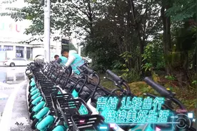 注意注意！南充共享电单车迎来“大体检”图片