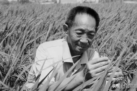 袁隆平离世，他是最可爱的“90”后梗王图片