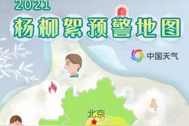 下周杨柳飞絮迎来第一次高发期，为何北京的飞絮总不好？图片