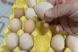 稀奇！鸡蛋壳长皱纹，看得人心里发毛：能吃吗？图片