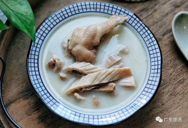 胡椒花胶鸡汤的做法 2026年胡椒花胶鸡汤的做法视频