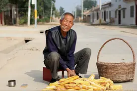 河南6旬老伯卖猪挣了2万块，没捂热就被儿子要走1万八，听他咋说图片