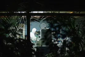 父亲制药救子成名后：生活被围观 想买5只猴子继续做实验图片