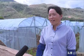 年入30万！弥勒竹园此女子从“贫困户”变“富豪”！得蜜吃了图片