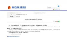自主研发！可实时监测葡萄糖，国内首款14天免指血校准CGM获批图片