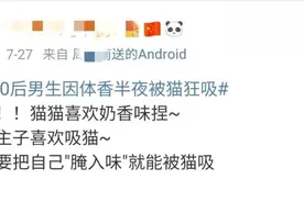 一男子因为“体香”，深夜被自家猫吸了4个小时，笑yue了图片