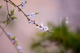 农村俗语“年前立春过年暖，过年立春二月寒”，21年春节冷吗？图片