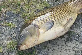 钓鱼奇异事件，件件都很邪门，还都是钓友亲身经历过的图片