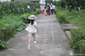 小花妹妹掉牙了，孙俪把牙齿装在宝盒里，好有仪式感图片