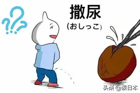 亮仔丨日本人第一次吃撒尿牛丸，在火锅店里脑洞大开……图片
