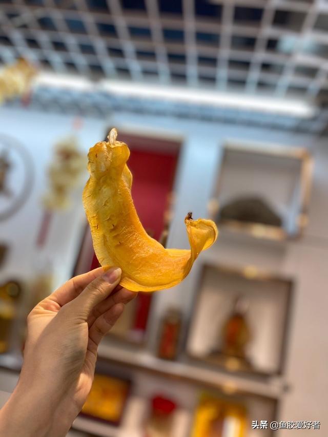 三牙小赤嘴鱼胶 2026年三芽赤嘴鱼胶