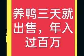 鸭苗养殖三天就能出售？湖南一农民养殖雏鸭，带领村民一起致富图片