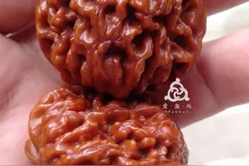玩了9年，他的核桃从来不刷，全靠洗，竟然也快玉化了图片