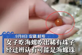 安徽女子吃到“天价”海螺珠，概率仅0.002%，卖5万块钱亏不亏？图片