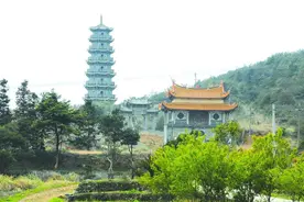 莆田：三紫凌云图片