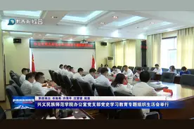 兴义民族师范学院办公室党支部党史学习教育专题组织生活会举行图片