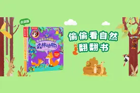 太赞了！吹爆这款让孩子爱不释手的洞洞翻翻抠抠最强自然科普书图片