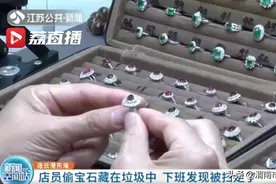 连云港 店员偷走宝石藏在垃圾中被人扫走  目前仍未找到图片