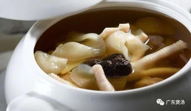 鸡煲花胶汤做法大全 2026年鸡煲花胶汤做法大全视频