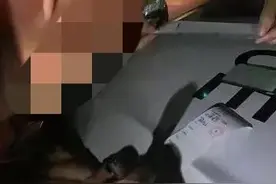 尚在驾驶证实习期就敢酒驾上路津南交警及时拦检查处违法驾驶人图片