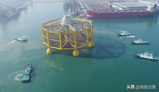 哪里产地的花胶最好 2026年哪里产地的花胶最好最正宗