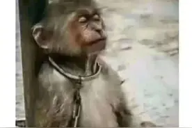 直改横第六个月图片