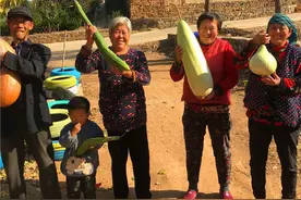 手捧南瓜村头走秀！临沂这群老头老太太，火了图片