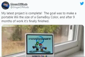 神人将Wii改装成Gameboy！耗时9个月完成图片