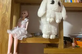 涉嫌强奸13岁女儿，快手背后的兽父图片
