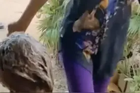 追忆乡下玩泥巴的童年图片