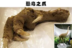 四条腿和四条手臂的人类？盘点多年里，人类找到的7个可怕的发现图片