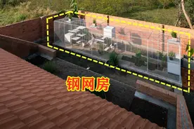 如果你家有个院子，也要搭个钢网房，在里面养鸡养花，生活好自在图片