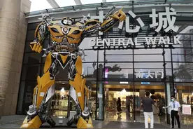 在深圳赚了51亿的哈尔滨女人，梦碎了图片