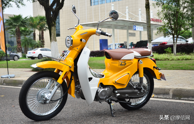 摩托哥：二次元、本田幼兽与未来