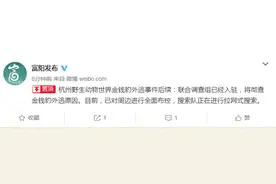 杭州金钱豹外逃事件后续：联合调查组已入驻图片