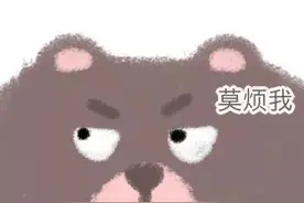 可爱小熊表情包图片