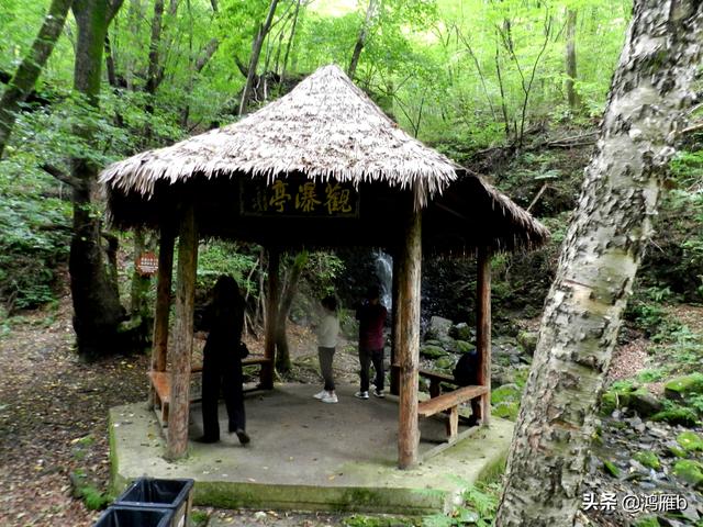 重走抗联路——本溪关门山森林公园鸣翠谷景区抗联秘营