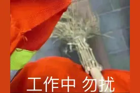 表情包：工作中，勿扰图片