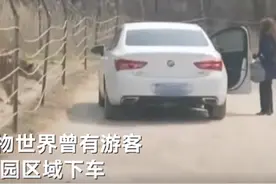 八达岭野生动物世界4月15日停业一天 此前曾有游客在虎园下车被劝离图片