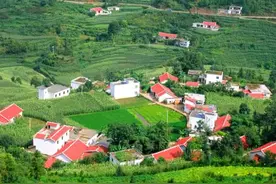 张嘴就要补偿？户口在村里就是村集体成员了吗？告诉你未必图片