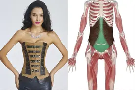 被身材焦虑捧起来“网红束腰”会要你命！4个健康有效瘦腰动作图片