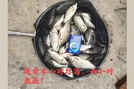 窝里全是泡！就是不咬钩？教你如何解决↓图片