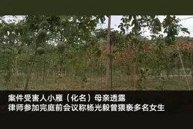 广西百香果女孩案出现新证词 村民：案发前2个月 他藏竹林跑出来抱我女儿图片