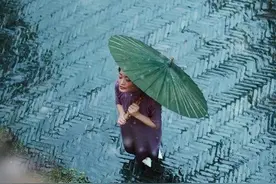 如果爱还在……“烟花”台风也刮不走……图片