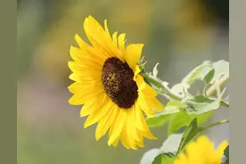 有四种女人，自以为很好，实际招人烦，你遇到过吗？图片